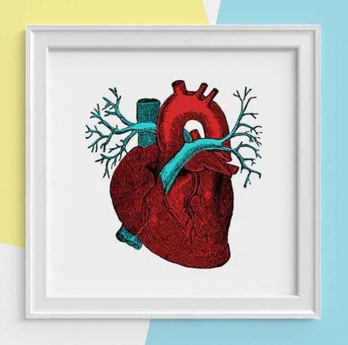 Home gift, Gift for men, Red heart art Print, Human anatomy print, Science student gift, Anatomical heart, Future doctor gift, SKA057SQ1 - Square 12x12