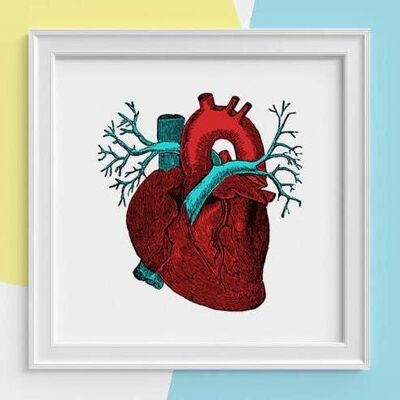 Home gift, Gift for men, Red heart art Print, Human anatomy print, Science student gift, Anatomical heart, Future doctor gift, SKA057SQ1 - A5 White 5.8x8.2