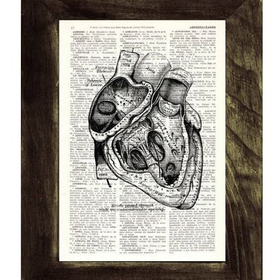 Geschenk für Zuhause, Wandkunstdruck, Herzabschnitt, Anatomie, Wandkunst, Wörterbuchdruck, Geschenk für Arzt, Anatomie des menschlichen Herzens, anatomisches Herz, SKA039 – Buchseite L 8,1 x 12 (ohne Aufhänger)