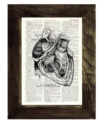 Cadeau pour la maison, impression d'art mural, art mural d'anatomie de section de coeur, impression de dictionnaire, cadeau pour le docteur, anatomie de coeur humain, coeur anatomique, SKA039 - page de livre M 6.4x9.6 (aucun cintre) 1
