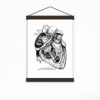 Cadeau pour la maison, Impression d'art mural, Art mural d'anatomie de section de coeur, Impression de dictionnaire, Cadeau pour le docteur, Anatomie du coeur humain, Coeur anatomique, SKA039 - Musique L 8.2x11.6 (No Hanger) 2