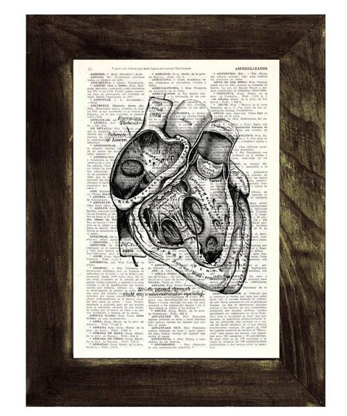 Home gift, Wall art print, Heart section Anatomy Wall art, Dictionary Print, Gift for doctor, Human heart Anatomy, Anatomical Heart, SKA039 - A3 White 11.7x16.5 (No Hanger)