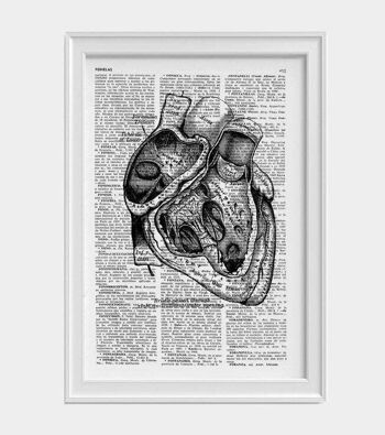 Cadeau pour la maison, impression d'art mural, art mural d'anatomie de section de coeur, impression de dictionnaire, cadeau pour le docteur, anatomie de coeur humain, coeur anatomique, SKA039 - A4 blanc 8.2x11.6 (aucun cintre) 4
