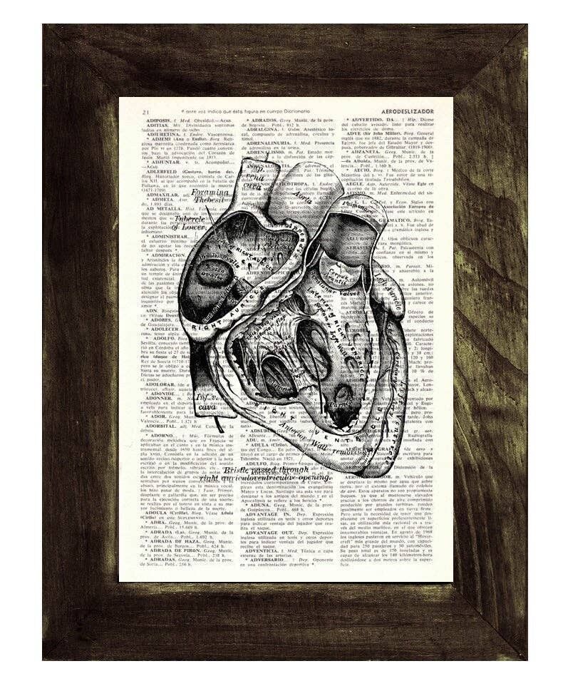 Geschenk für Zuhause, Wandkunstdruck, Herzabschnitt Anatomie Wandkunst, Wörterbuchdruck, Geschenk für Arzt, Anatomie des menschlichen Herzens, anatomisches Herz, SKA039 - A4 Weiß 8,2 x 11,6