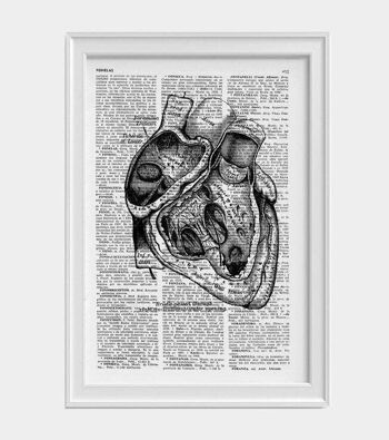 Cadeau pour la maison, impression d'art mural, art mural d'anatomie de section de coeur, impression de dictionnaire, cadeau pour le docteur, anatomie de coeur humain, coeur anatomique, SKA039 - A4 blanc 8.2x11.6 4