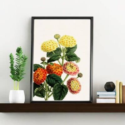 Housewarming gift, Xmas gift, Gift for her, Christmas Gifts for mom, Wall art print, Lantanas Flower art, Botanical Wall Art - BFL110WA4 - A4 White 8.2x11.6