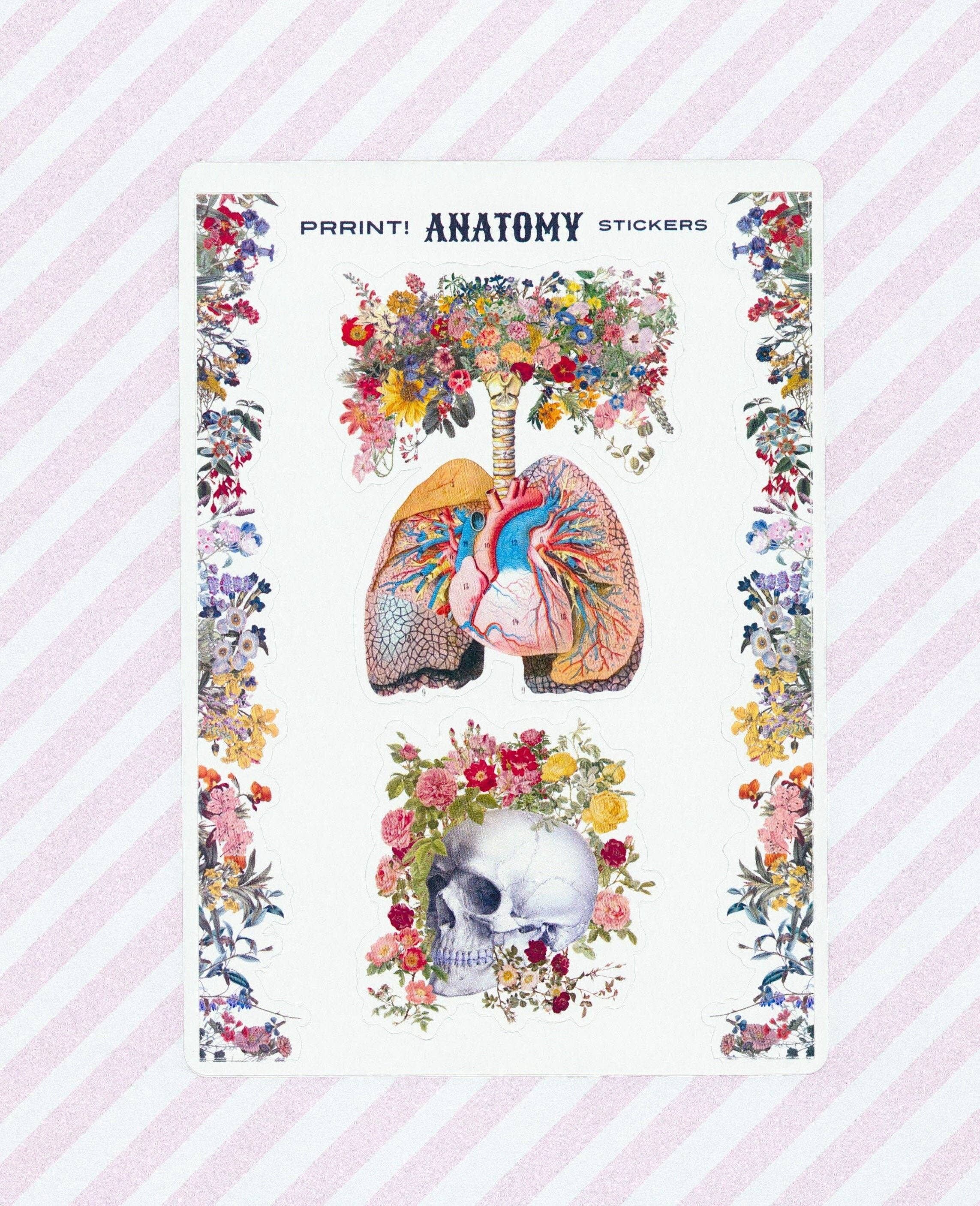 Riesiges Anatomie- und Blumen-Aufkleberblatt – Papier