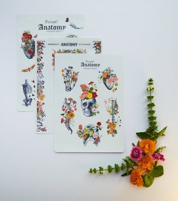 Grande feuille d'autocollants Anatomie et fleurs - Papier 4