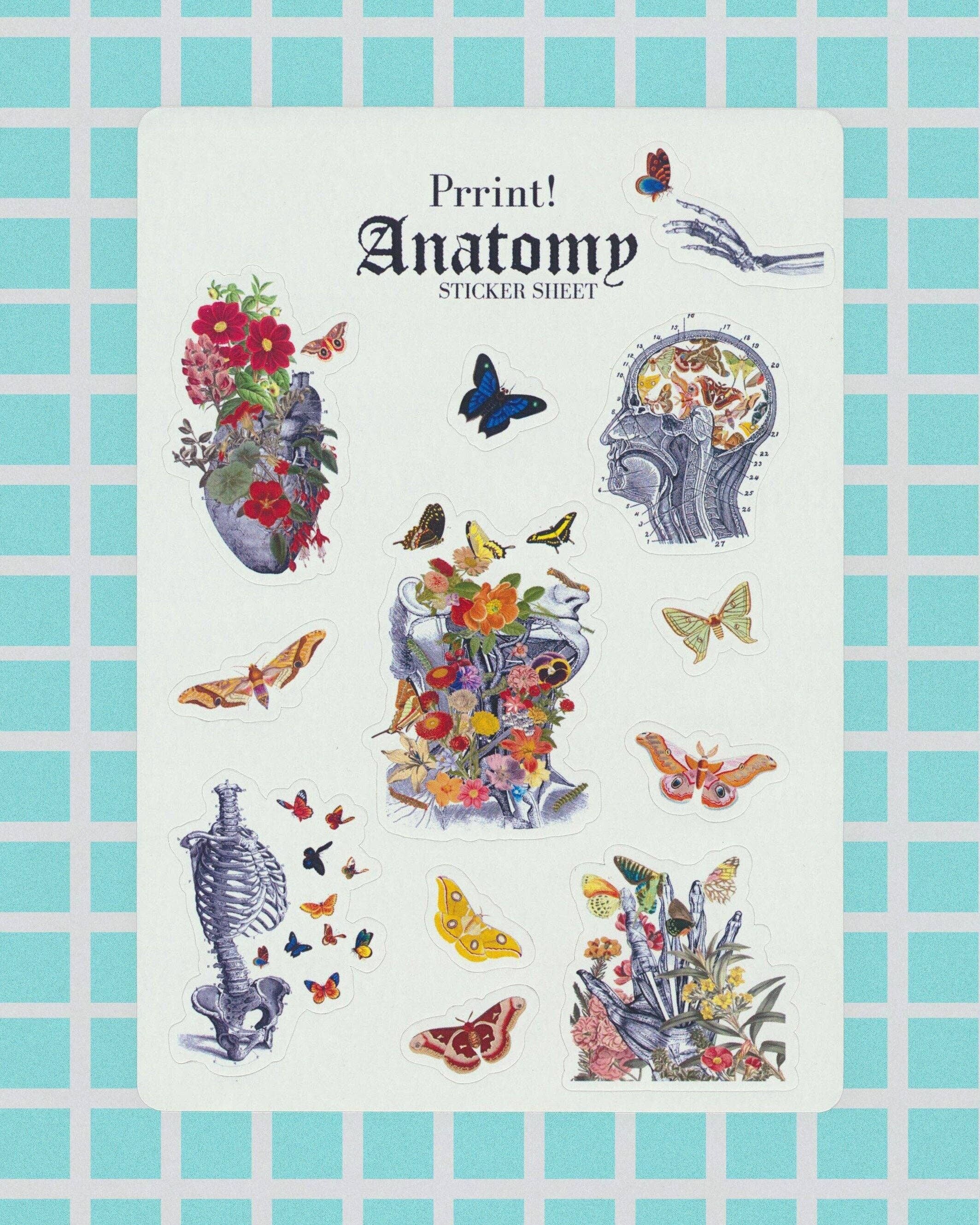 Anatomie des Menschen mit Schmetterlingen. -Kraftpapier