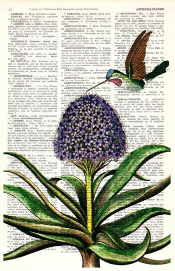 Art des colibris, art mural botanique - Page de livre L 8.1x12 (sans cintre) 2