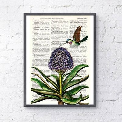 Kolibris Kunst, botanische Wandkunst - Buchseite M 6,4 x 9,6 (ohne Aufhänger)
