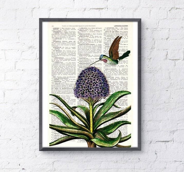Kolibris Kunst, botanische Wandkunst – A4 weiß 8,2 x 11,6