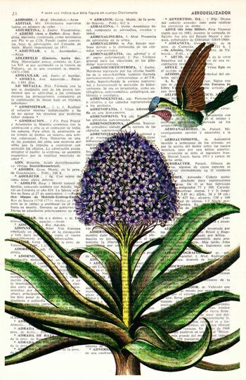 Art des colibris, art mural botanique - A4 Blanc 8.2x11.6 2