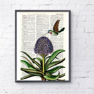 Hummingbirds Art, Botanical Wall art - A5 White 5.8x8.2 (No Hanger)