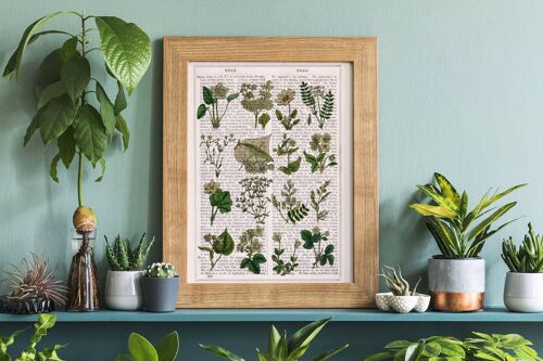 Ivory Wild flowers Wall art - Book Page M 6.4x9.6
