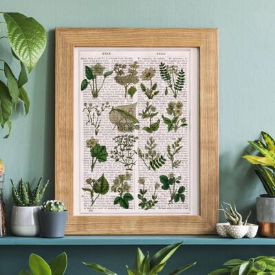 Elfenbein Wilde Blumen Wandkunst - Buchseite L 8,1x12