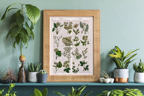 Ivory Wild flowers Wall art - A5 White 5.8x8.2