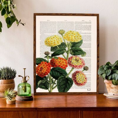 Lantanas Bouquet Print - Book Page S 5x7 (No Hanger)