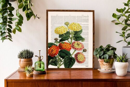 Lantanas Bouquet Print - White 8x10 (No Hanger)
