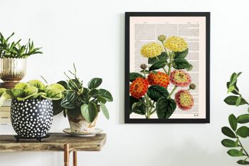 Lantana Bouquet Print - Blanc 8x10 (Pas de Cintre) 3