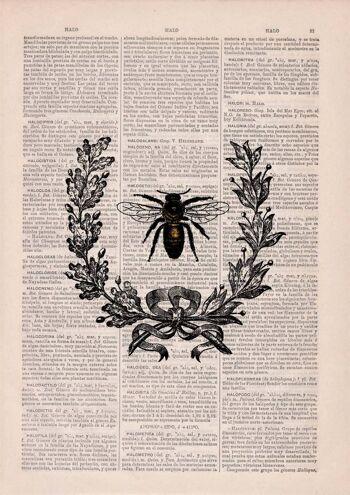 Laurel Wreath Queen Bee Print - Musique L 8.2x11.6 (Sans cintre) 3