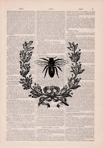Laurel Wreath Queen Bee Print - A4 Blanc 8.2x11.6 (Sans cintre) 3