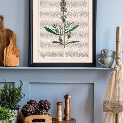Impression d'art de plantes aromatiques de lavande - Page de livre M 6.4x9.6