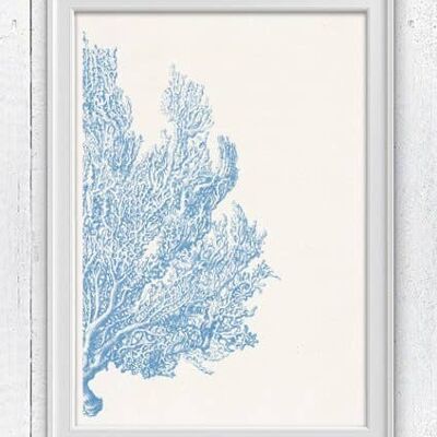 Light blue Sea fan coral no4 - A3 White 11.7x16.5 (No Hanger)