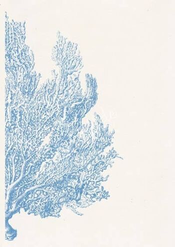 Bleu clair Sea fan coral no4 - A4 Blanc 8.2x11.6 (No Hanger) 2