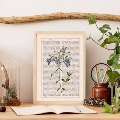 Leinen Blumen Strauß Druck – Weiß 8 x 10 – Eichenholz Aufhänger