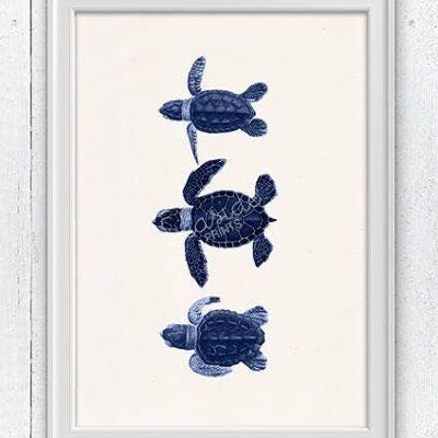 Petites tortues en bleu - A3 Blanc 11,7x16,5 (Sans cintre)
