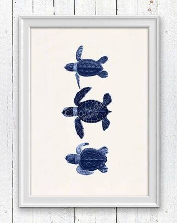 Petites tortues en bleu - A3 Blanc 11,7x16,5 (Sans cintre) 1