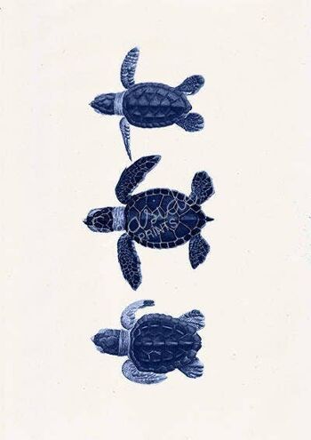 Petites tortues en bleu - A3 Blanc 11,7x16,5 (Sans cintre) 2