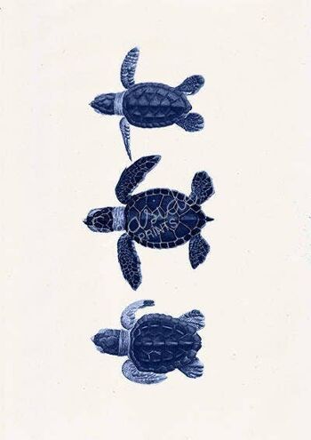 Petites tortues en bleu - A3 Blanc 11,7x16,5 2