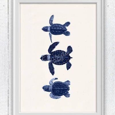 Petites tortues en bleu - A5 Blanc 5.8x8.2 (Sans Cintre)