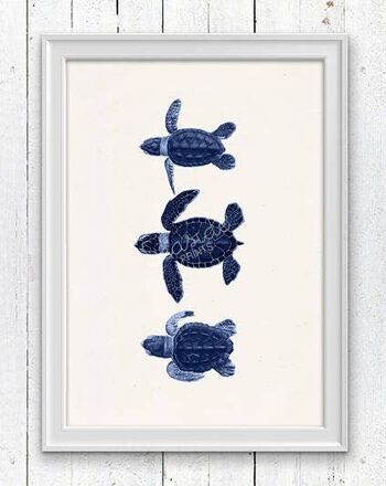 Petites tortues en bleu - A5 Blanc 5.8x8.2 1