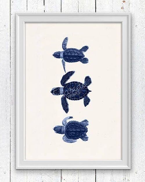 Little turtles in blue - White 8x10