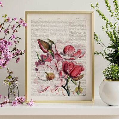 Magnolia Flower Art - Book Page L 8.1x12 (No Hanger)