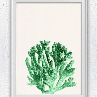 Mint coral sea life print - A3 White 11.7x16.5
