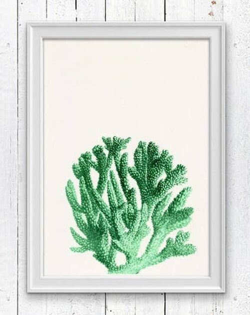Mint coral sea life print - A4 White 8.2x11.6