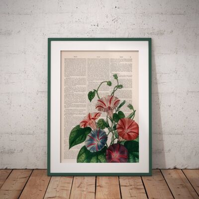 Morning Glory wild flowers - Book Page L 8.1x12 (No Hanger)