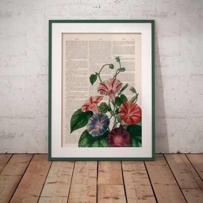Morning Glory wild flowers - A4 White 8.2x11.6 (No Hanger)
