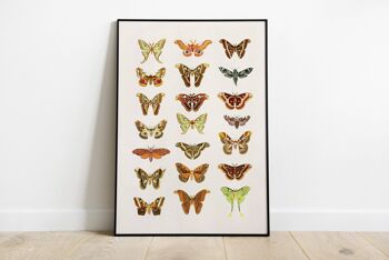 Affiches de papillons de nuit et papillons - A3 Blanc 11,7x16,5 1