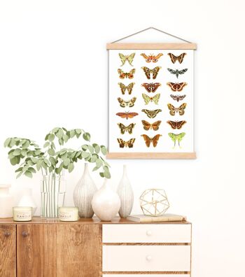 Affiches de papillons de nuit et papillons - A3 Blanc 11,7x16,5 2