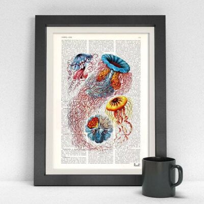 Multicolored Jellyfish Dictionary Art Print - Book Page S 5x7