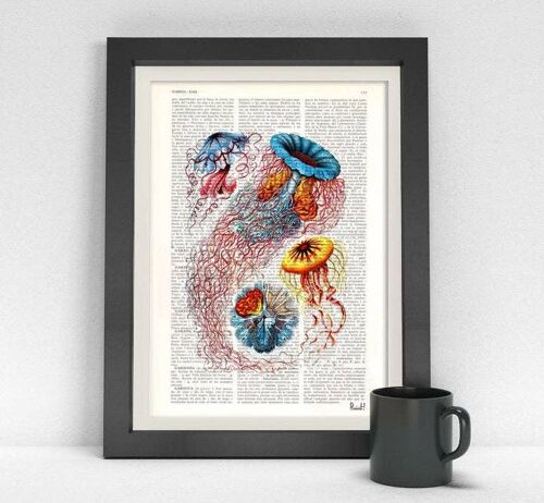 Multicolored Jellyfish Dictionary Art Print - Book Page M 6.4x9.6