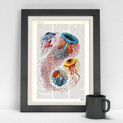 Multicolored Jellyfish Dictionary Art Print - Music L 8.2x11.6
