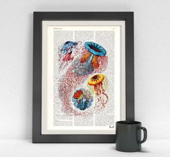 Multicolored Jellyfish Dictionary Art Print - Musique L 8.2x11.6 1