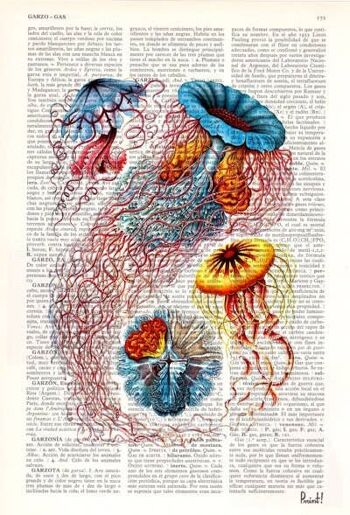 Multicolored Jellyfish Dictionary Art Print - Musique L 8.2x11.6 2