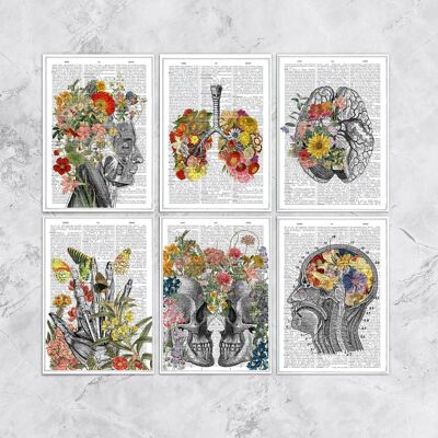 Mehrfarbige Blumen-Anatomie-Postkarten